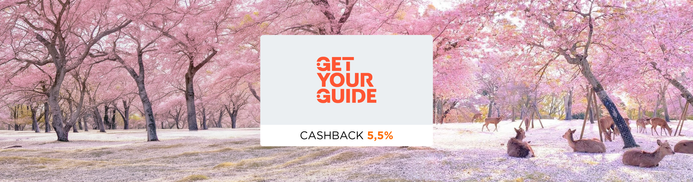 GetYourGuide